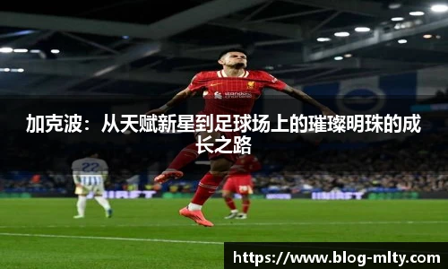 加克波：从天赋新星到足球场上的璀璨明珠的成长之路