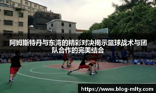 米兰体育下载